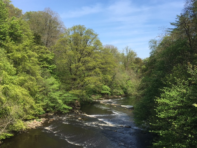 River Almond